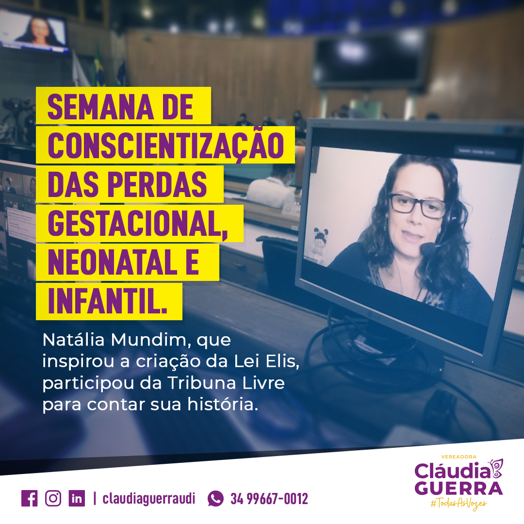 Mês das mulheres no legislativo começa com debate para conscientização sobre luto de perda gestacional, neonatal e infantil